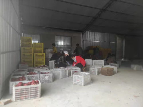 工行溫度丨工行于堡村農產品集中交易點建成,農產品交易更便捷啦